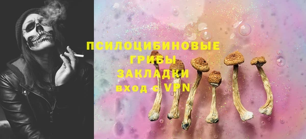 гидра Елабуга