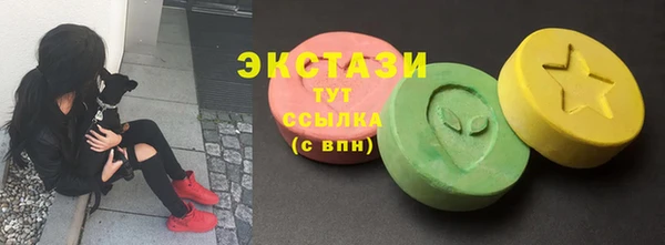 твердый Козельск