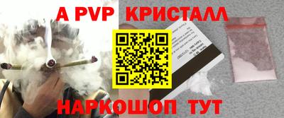 молекула духа Усть-Джегута