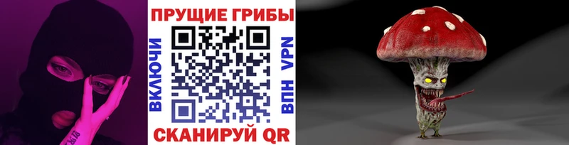 Псилоцибиновые грибы Cubensis  где купить   Искитим 