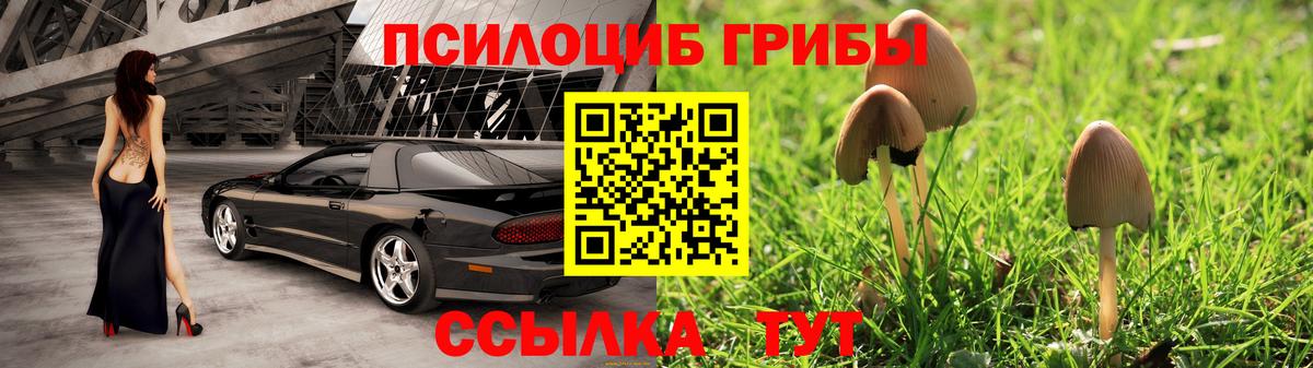 продажа наркотиков  Вход с VPN  Искитим  Галлюциногенные грибы мицелий 