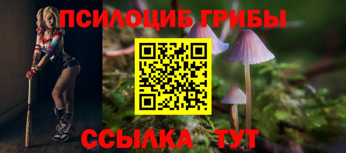 Галлюциногенные грибы ЛСД Искитим